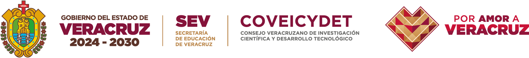 Logo Gobierno del Estado de Veracruz